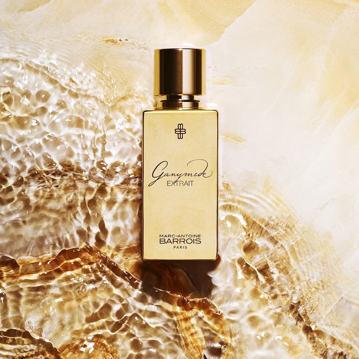 Marc-Antoine Barrois Ganymede