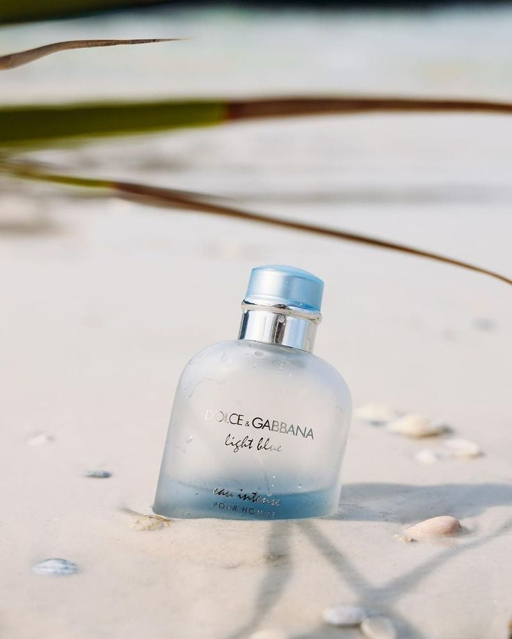 Dolce & Gabbana Light Blue Intense